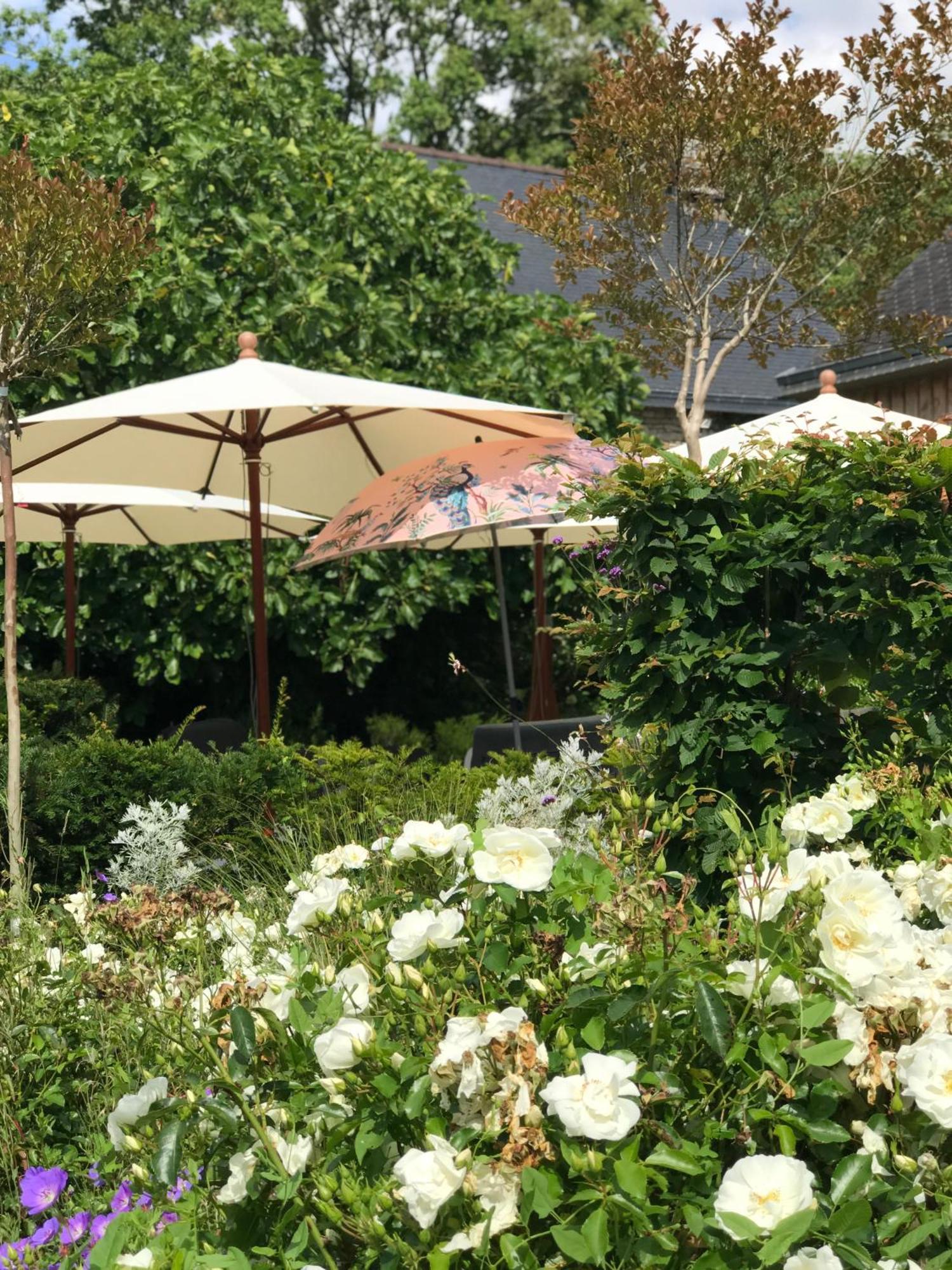 Manoir Saint-Andre,B&B De Charme Theix ภายนอก รูปภาพ
